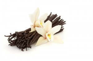 Vanilla is not a derogatory term, in my book. I mean, have you tasted good vanilla? It's DELICIOUS.