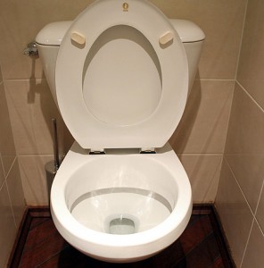 You know what they say: clean toilet, dirty mind...
